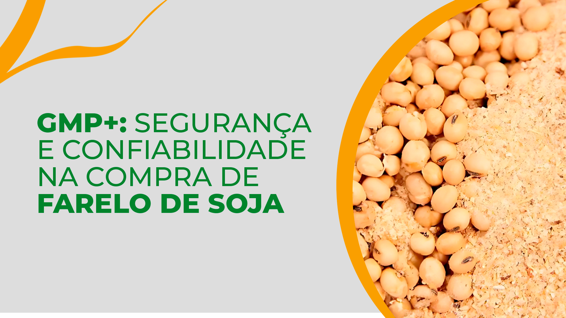 Certificação GMP+: o que ela garante para quem compra farelo de soja?