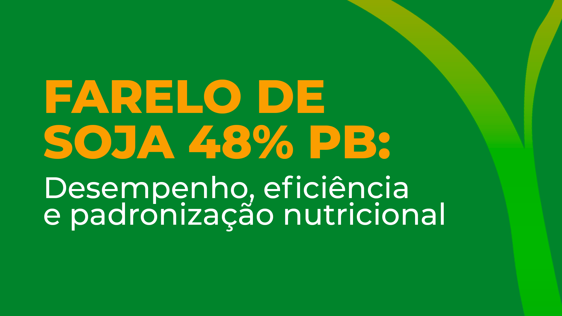 Farelo de Soja 48% PB: o aliado ideal para dietas de alta performance