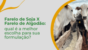 Farelo de soja x farelo de algodão: qual é a melhor escolha para sua formulação?